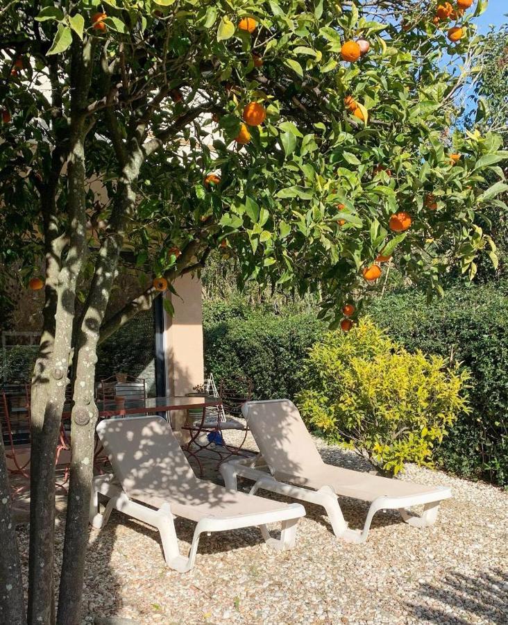 Appartement Les Sarments à Le Lavandou Extérieur photo